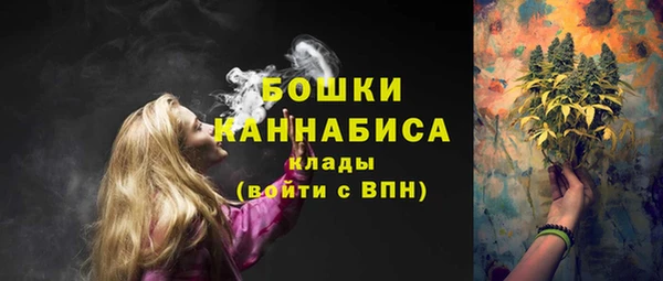 ПСИЛОЦИБИНОВЫЕ ГРИБЫ Бронницы