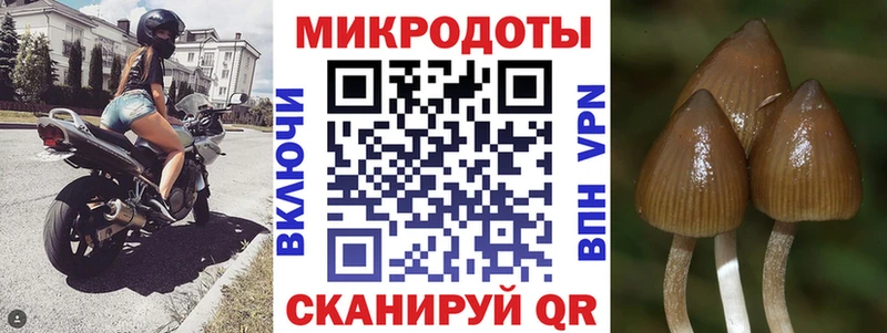 omg Усть-Лабинск Псилоцибиновые грибы GOLDEN TEACHER