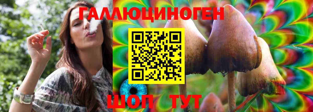 купить закладку  Вход с VPN  Усть-Лабинск  Псилоцибиновые грибы MAGIC MUSHROOMS 